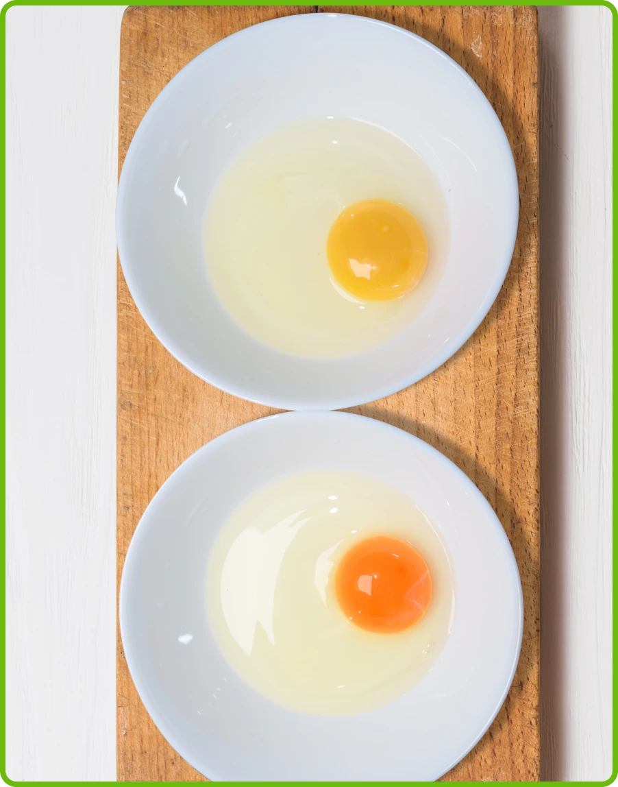 imagen-g-collage-home-huevos-de-la-granja