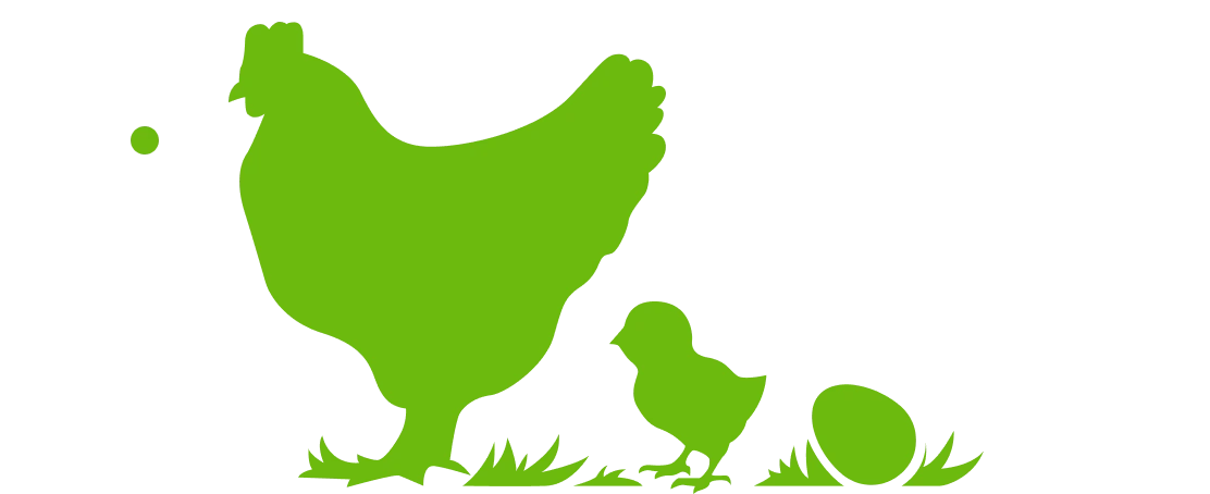 silueta-crecimiento-gallina-huevos-de-la-granja