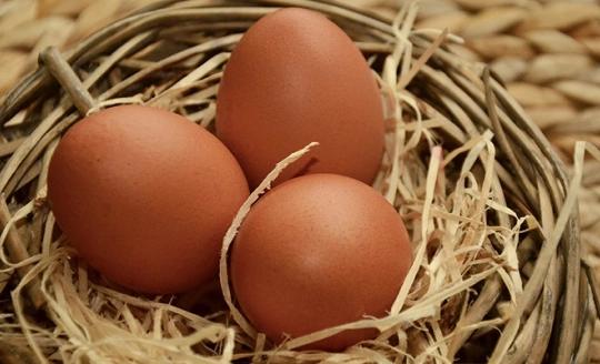 huevo-tipo-jumbo-huevos-de-la-granja